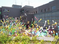 オープニング風船飛ばし