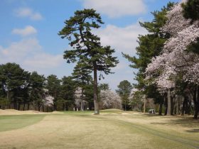 千葉ＣＣ川間コース南７番ホール