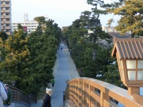 国指定名勝 草加松原