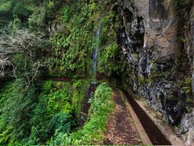 レヴァダ・ウォーク