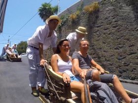 トボガン（山から公道をソリに乗って滑り降ります）