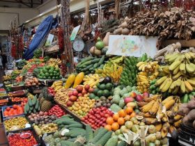 フンシャルの市場