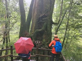 フールドワークの様子